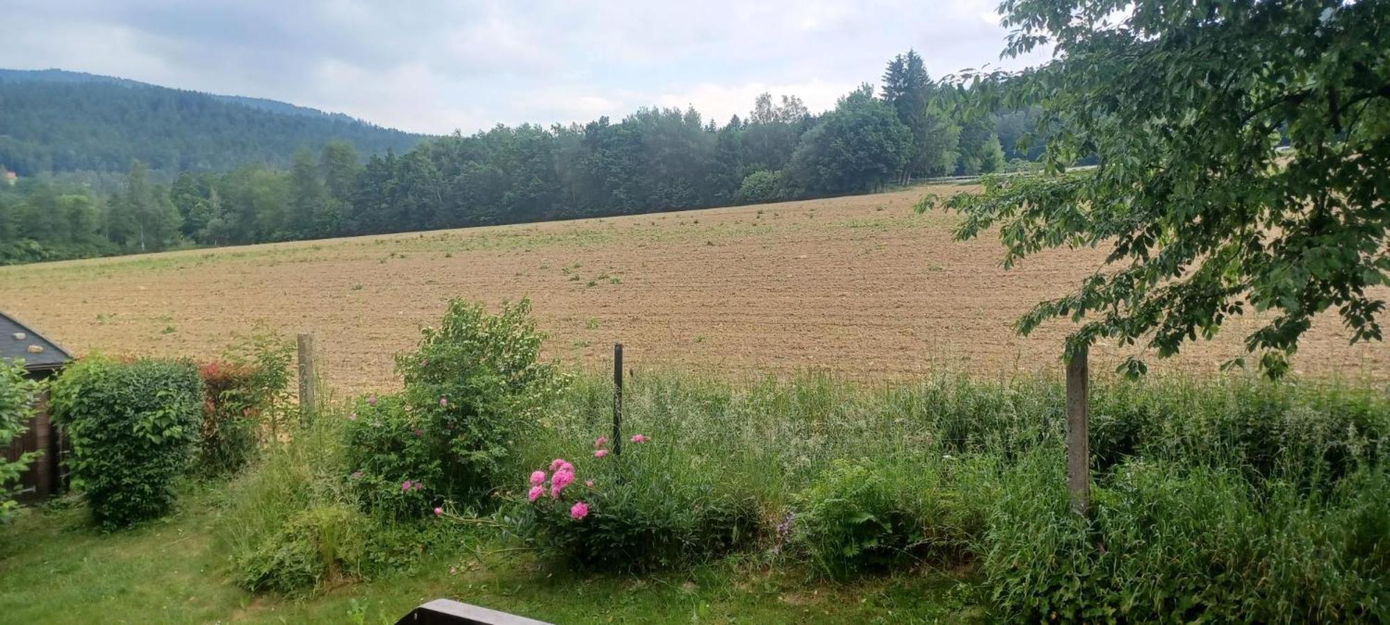 Ferienwohnung Rihm アルラッハ エクステリア 写真